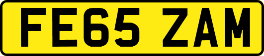 FE65ZAM