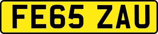 FE65ZAU