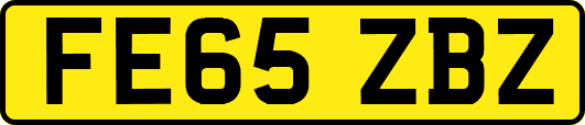 FE65ZBZ
