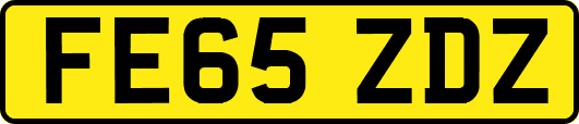 FE65ZDZ