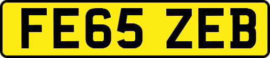 FE65ZEB