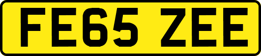 FE65ZEE