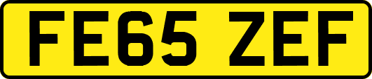FE65ZEF