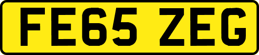FE65ZEG
