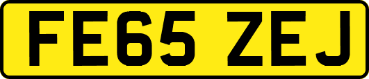 FE65ZEJ