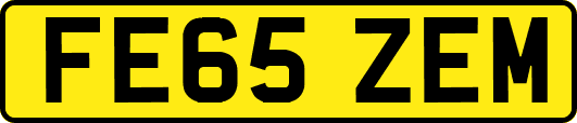 FE65ZEM