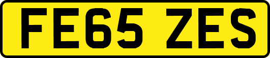 FE65ZES