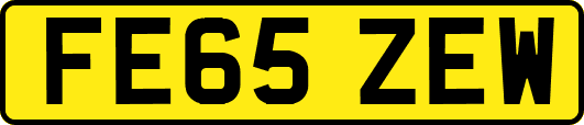 FE65ZEW