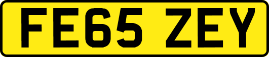 FE65ZEY