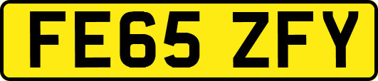 FE65ZFY