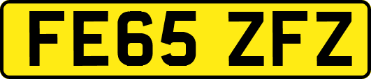 FE65ZFZ