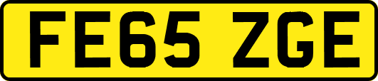 FE65ZGE