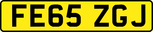 FE65ZGJ