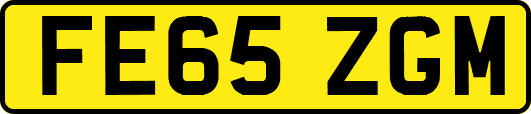 FE65ZGM