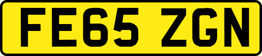 FE65ZGN