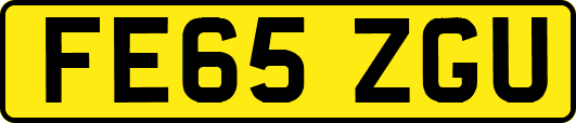 FE65ZGU