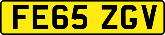 FE65ZGV