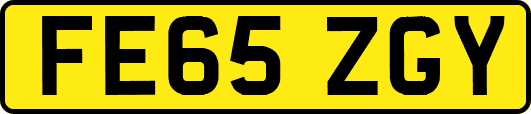 FE65ZGY