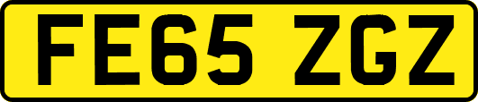 FE65ZGZ