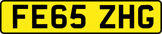 FE65ZHG