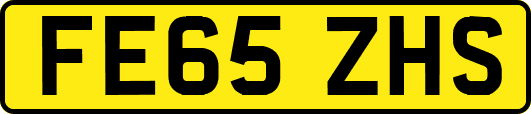FE65ZHS