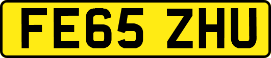 FE65ZHU