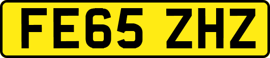FE65ZHZ