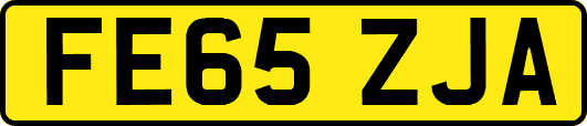 FE65ZJA