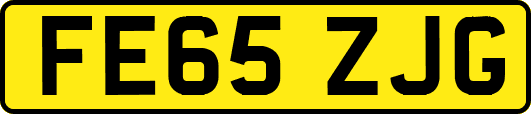FE65ZJG