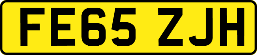 FE65ZJH