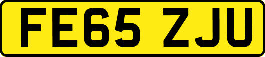FE65ZJU