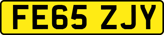 FE65ZJY