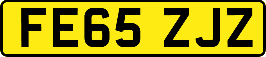 FE65ZJZ