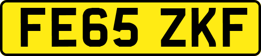 FE65ZKF