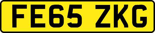 FE65ZKG