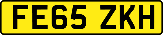 FE65ZKH