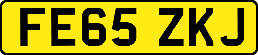 FE65ZKJ