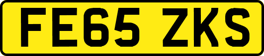 FE65ZKS