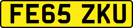 FE65ZKU