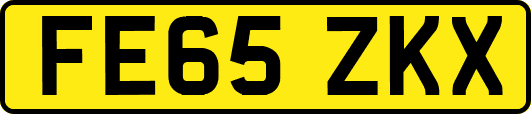 FE65ZKX