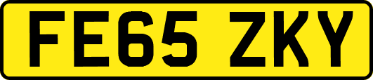FE65ZKY