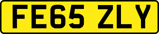 FE65ZLY