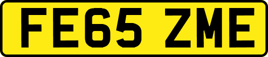 FE65ZME