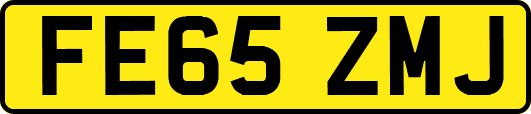 FE65ZMJ