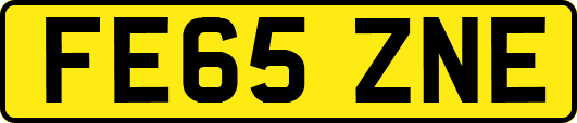 FE65ZNE