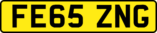 FE65ZNG