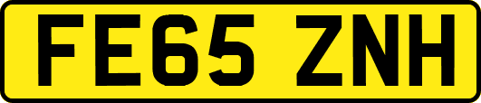 FE65ZNH