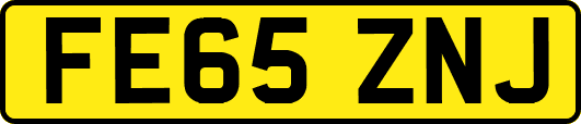 FE65ZNJ