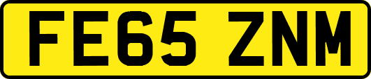 FE65ZNM