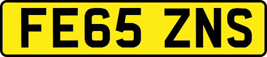 FE65ZNS